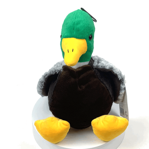 Webber the Mallard Duck